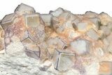 Purple Edge Fluorite Crystal Cluster - Qinglong Mine, China #205226-3